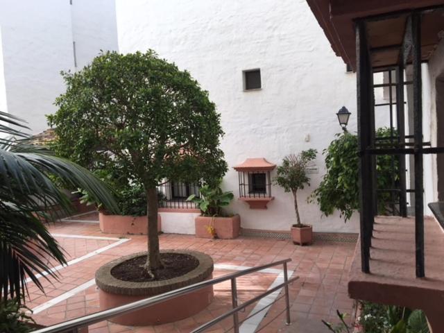 Large And Elegant In Puerto Banus With Pools And Paddle Apartment Marbella Ngoại thất bức ảnh